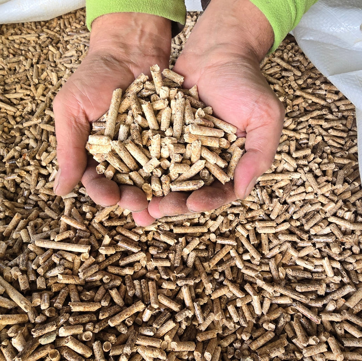 1000kg Eichen-Pellets - ENplusA1 - BigBag auf Palette | Lieferung | 1000 kg | BB_Eich_V1000