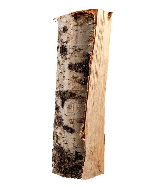 Halbe Palette kammergetrocknetes gespalten Birke Brennholz 25cm