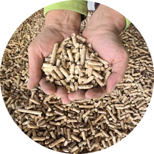 1000kg Buchen-Pellets - ENplusA1 - BigBag auf Palette | Lieferung | 1000 kg | BB-Buch-V1000