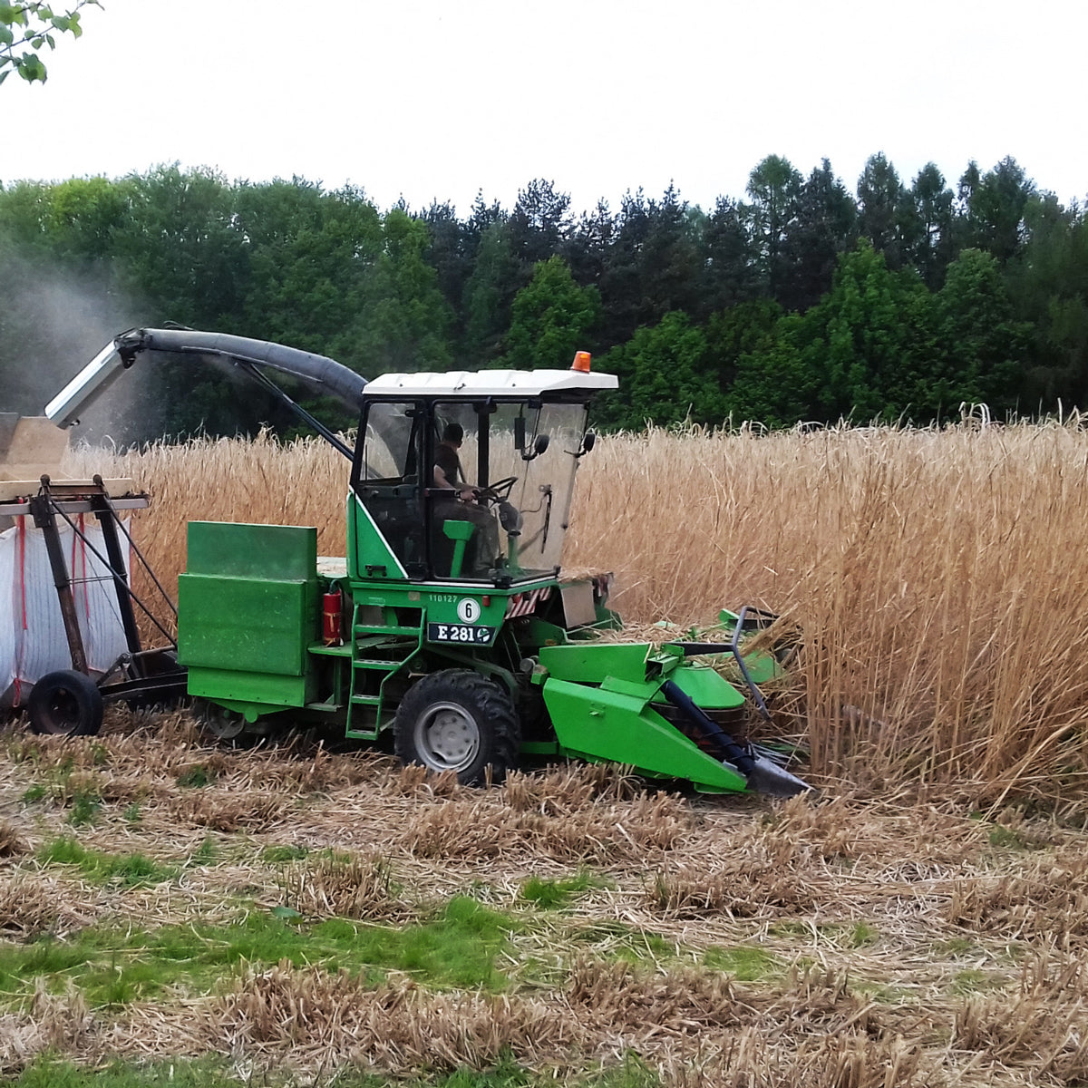960kg Miscanthus Pellets als Brennstoff | Lieferung | 960 kg | P15_Misc_V960